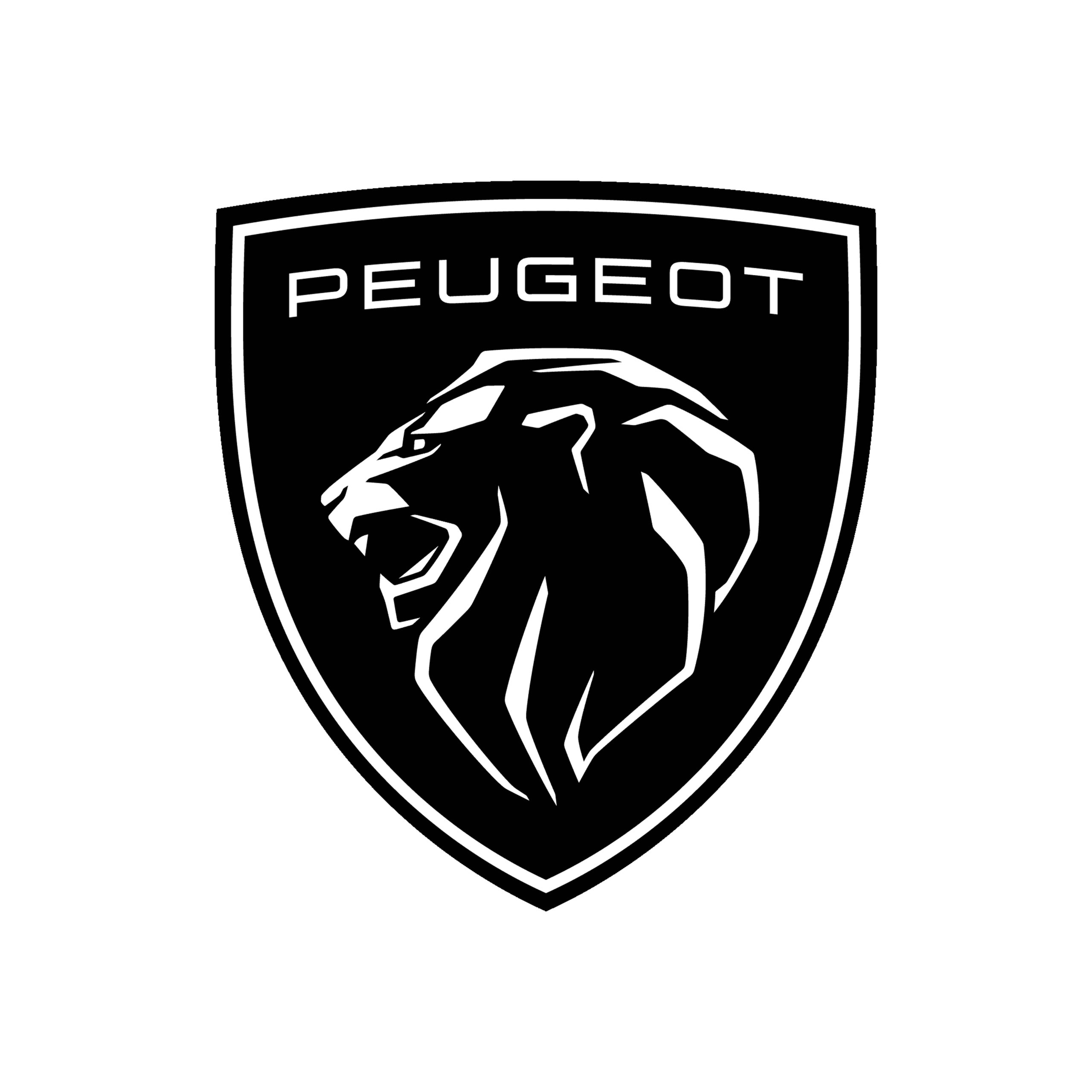 Peugeot wet belt replacement