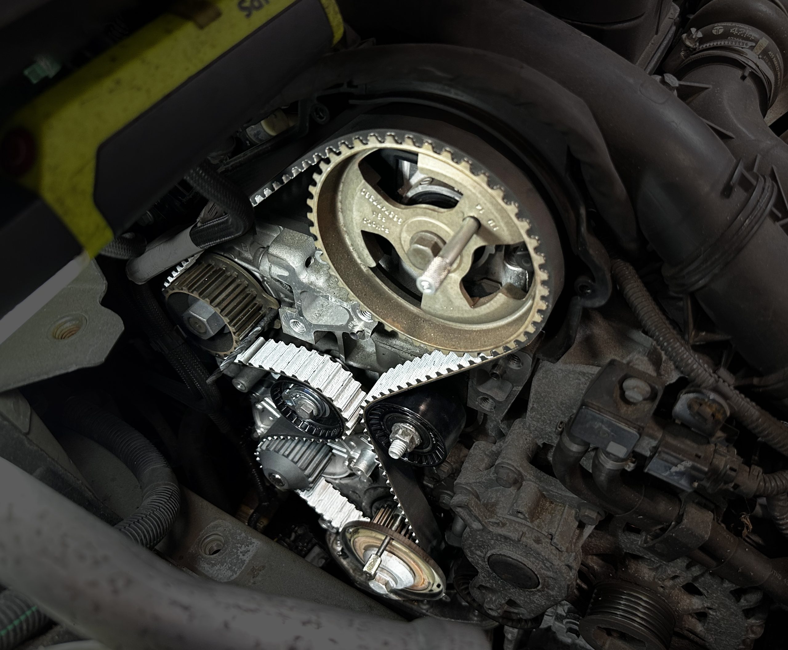 Timing Belt for Citroen